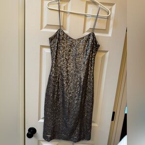 Elegant Silver Sequin Dress